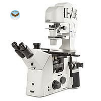 Kính hiển vi soi ngược ba mắt Delphi-X Inverso Euromex DI.3053-PLPHFi (HWF 10x/25 mm, 10x/20x/S40x)